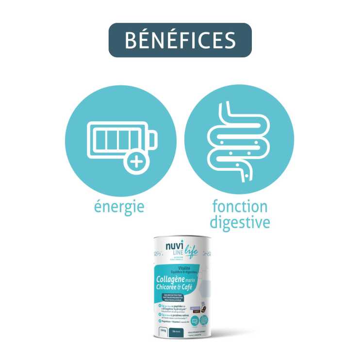 Collagène marin poudre avec Chicorée - Digestion et vitalité - 360g