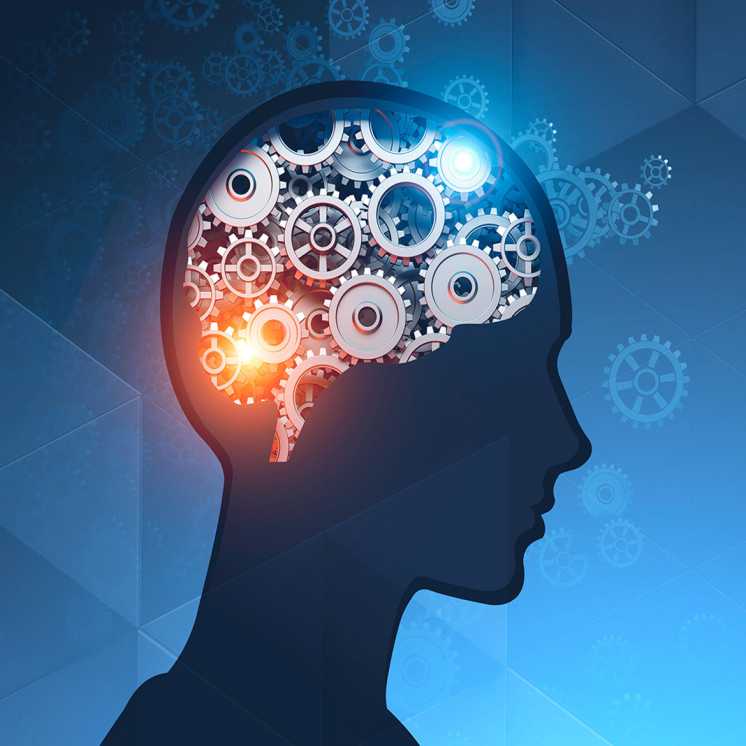 Collagène marin - Mémoire et concentration - Oméga-3 DHA Végétal