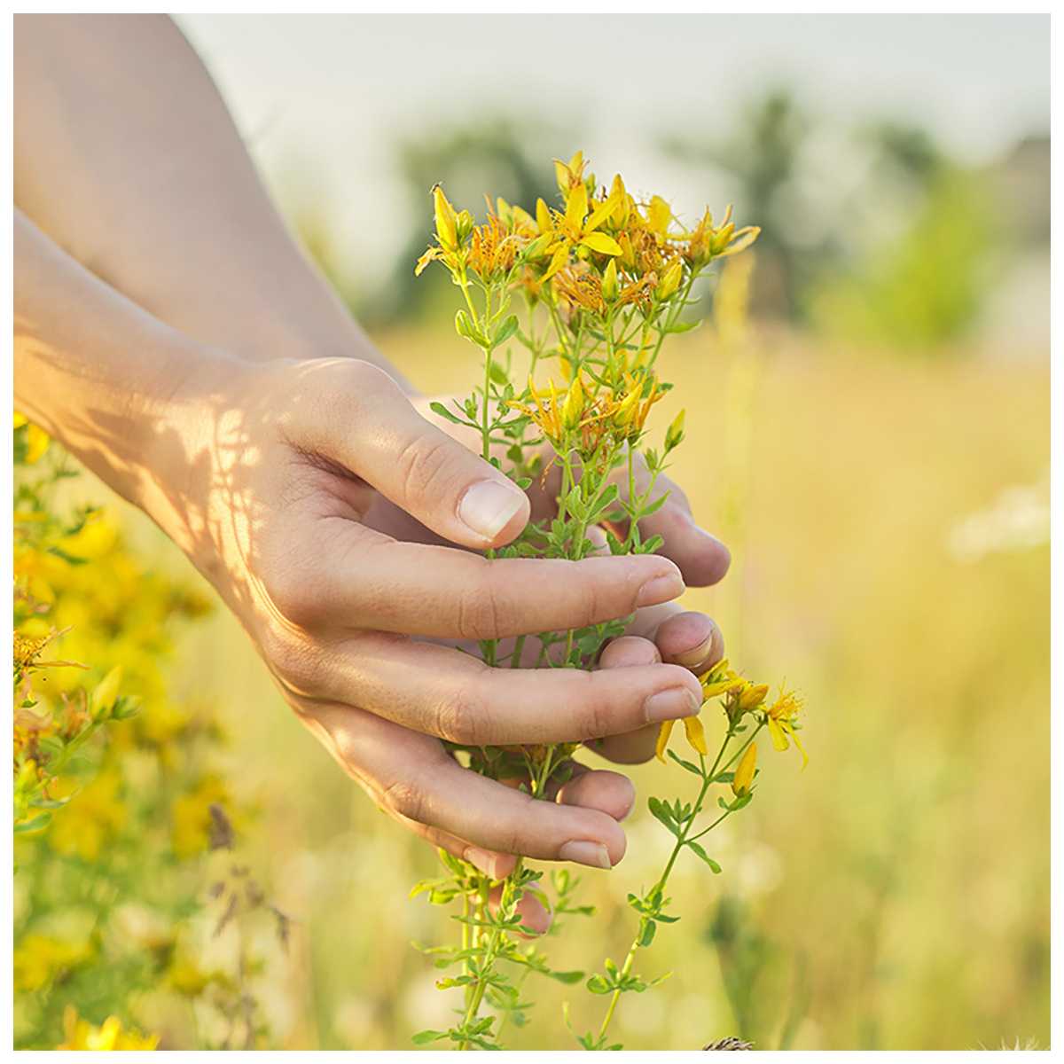 Collagène Marin Sommeil - Sérénité - Mélatonine et 5-HTP
