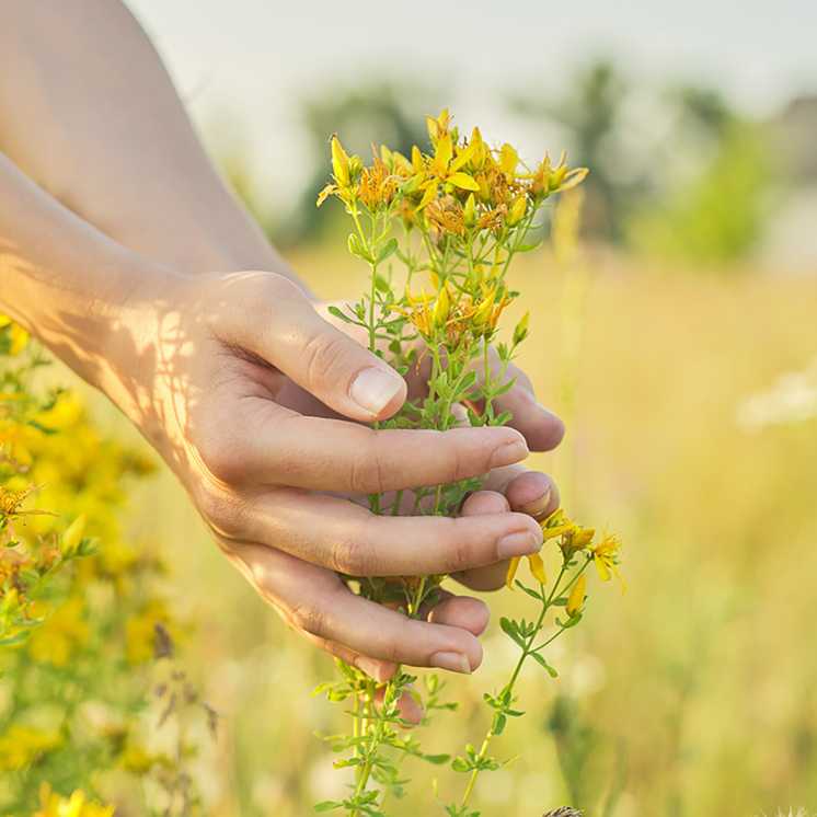Collagène marin poudre - 170g - Sommeil - Sérénité - Mélatonine