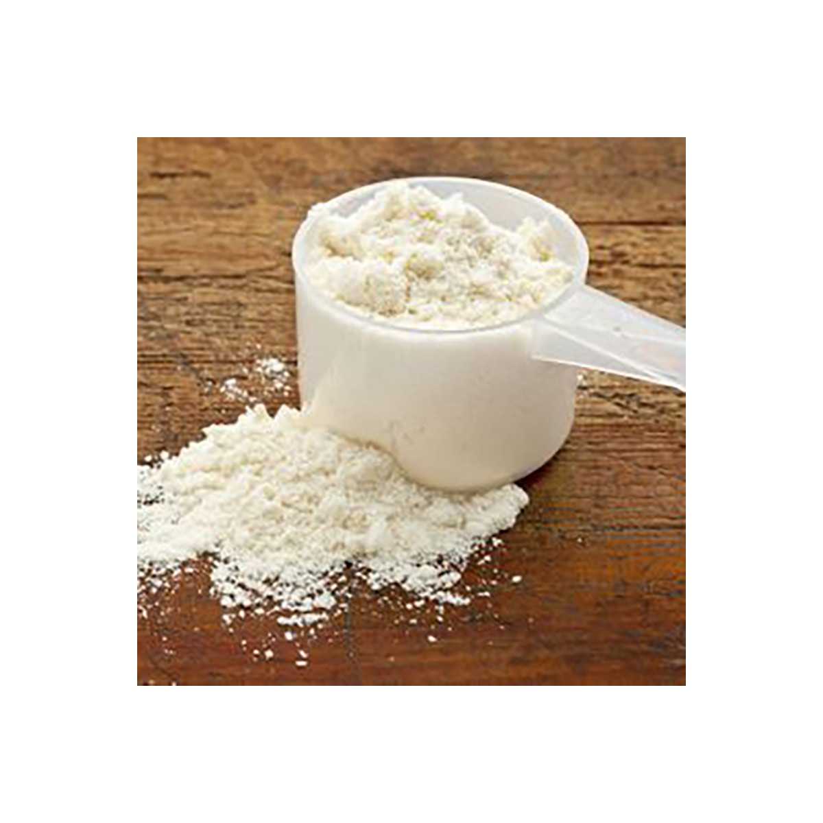 Protéines de lactosérum (petit lait) en poudre - native whey