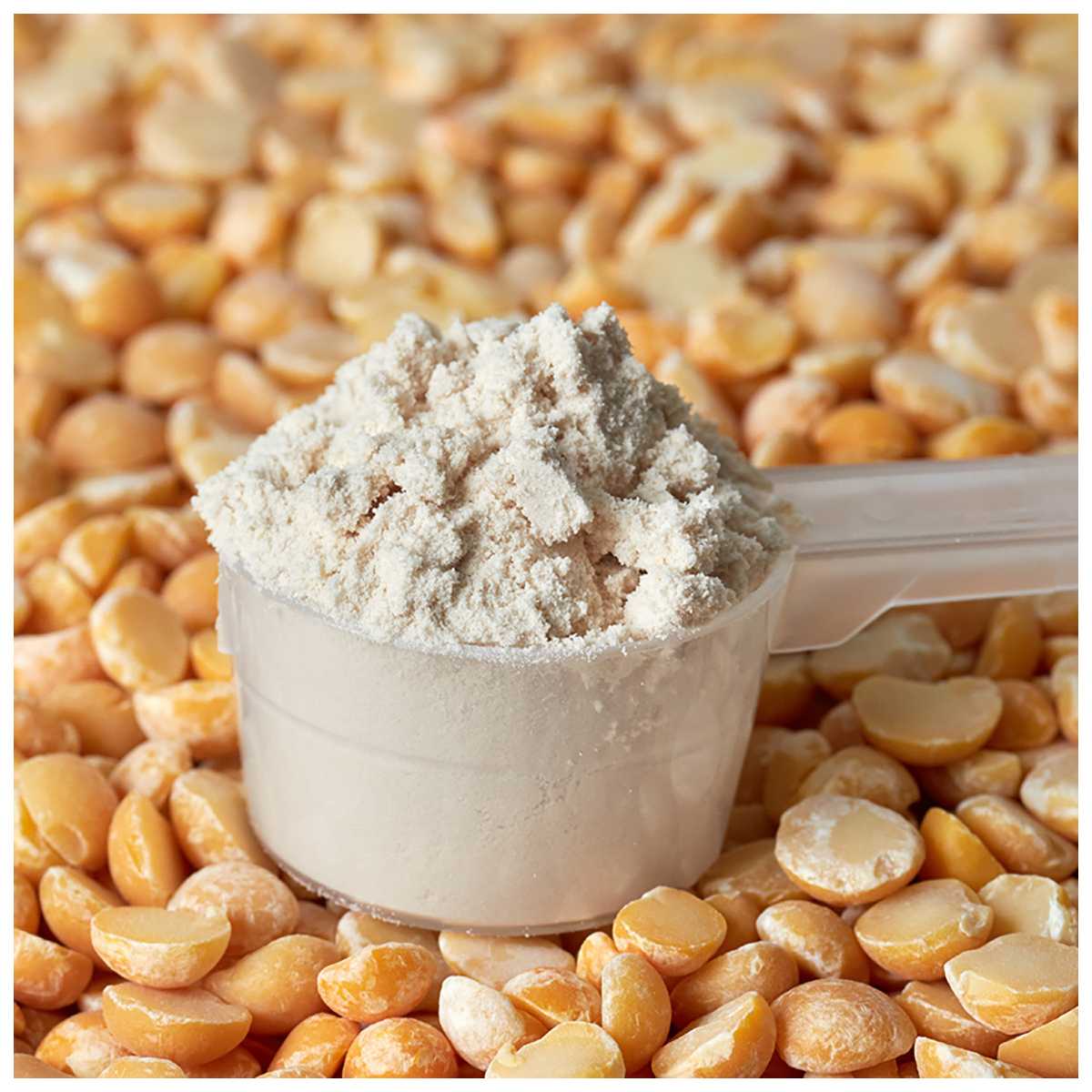 Pure Protéine Végétale de Pois, vegan et transition végétale