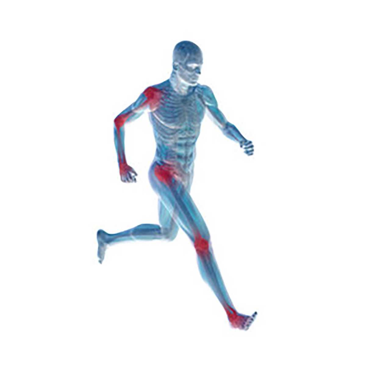 Collagène marin, prévention et performance du sportif