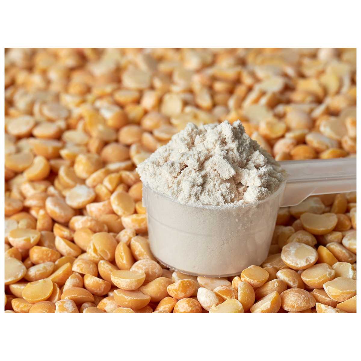 Pack Duo - Collagène marin pur + Pure protéine végétale pois