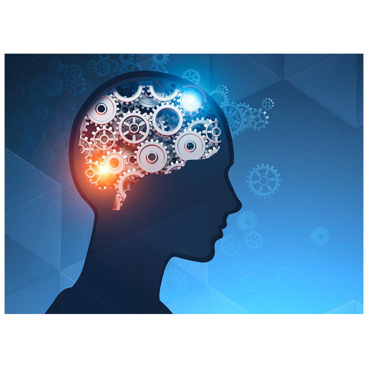 Pack Duo Anti-âge collagène marin acide hyaluronique omega-3 DHA peau cerveau nuviline