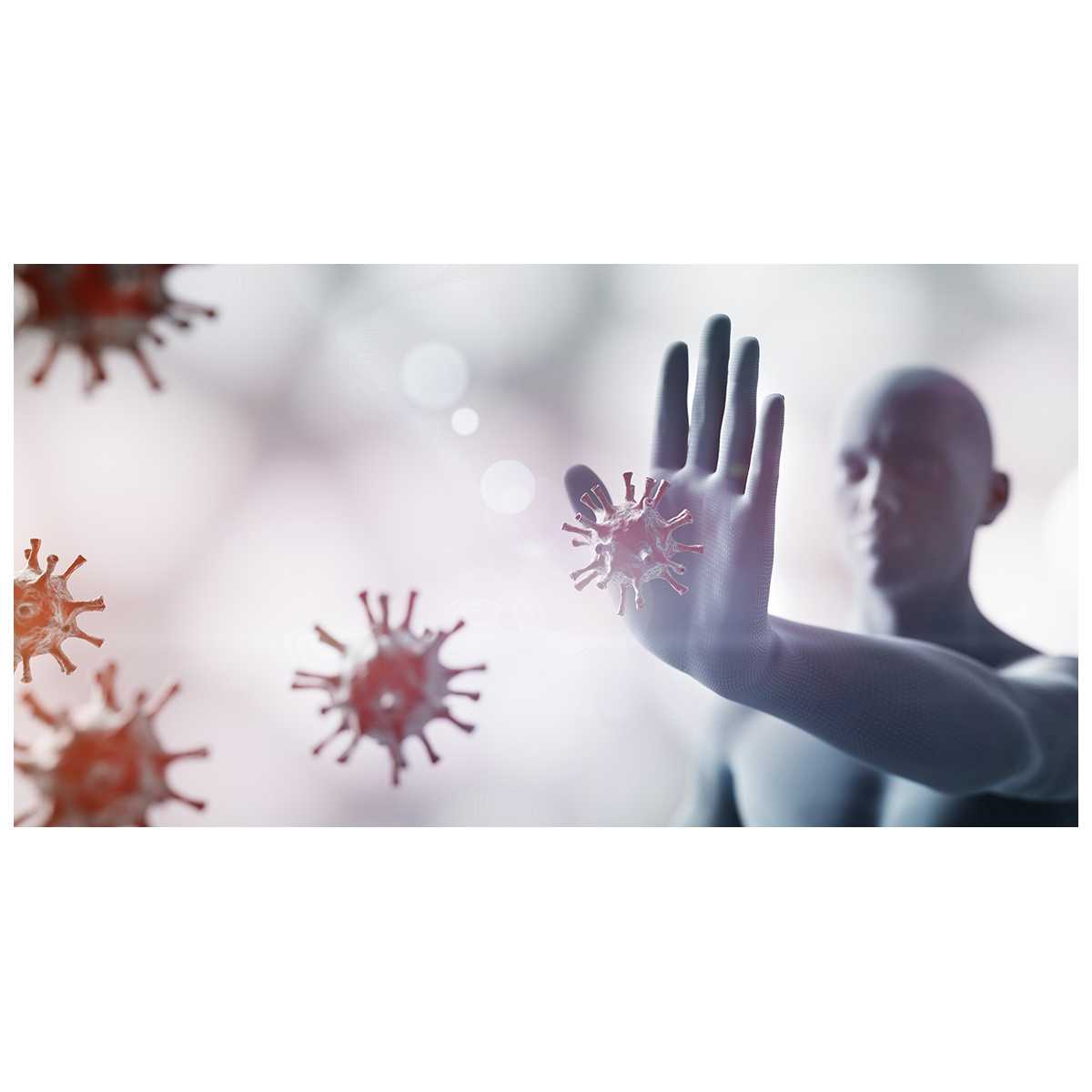 Pack 4 Essentiels Happy Age