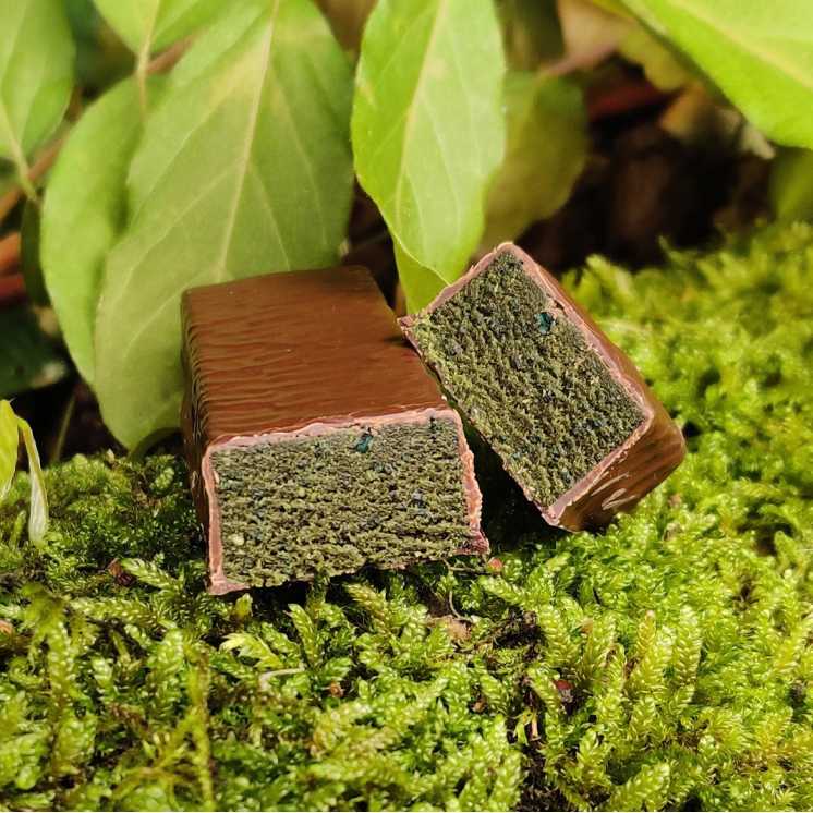 Ma super barre à la spiruline ! Protéines végétales - Paléo